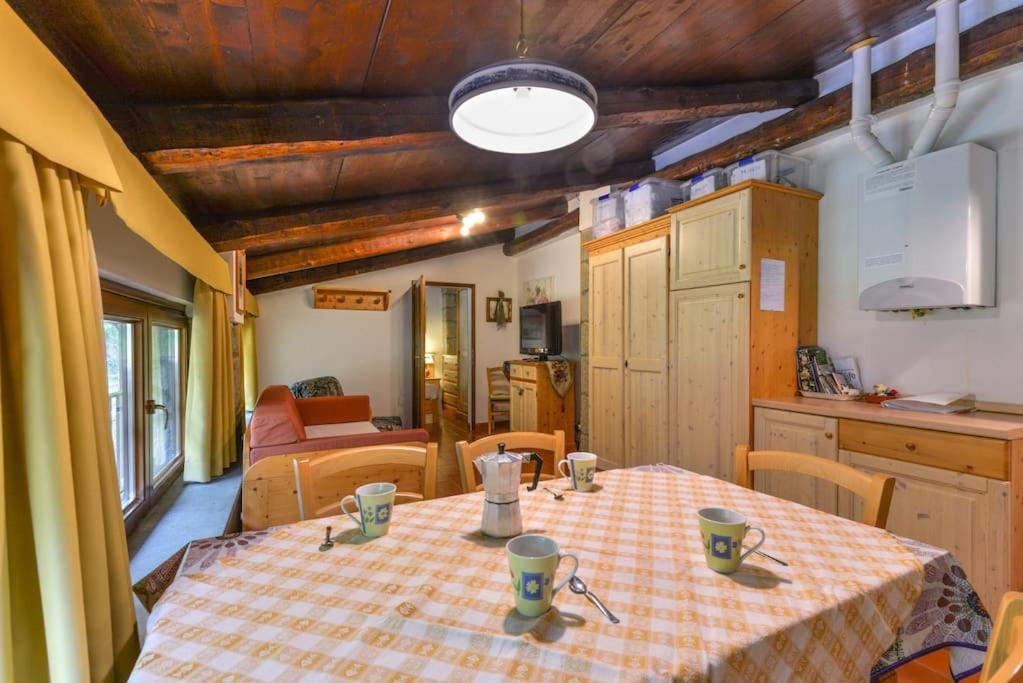 38-Volpini House In Amiata - Val D'Orcia, Saturnia, Feste&Sagre Castel del Piano  Esterno foto